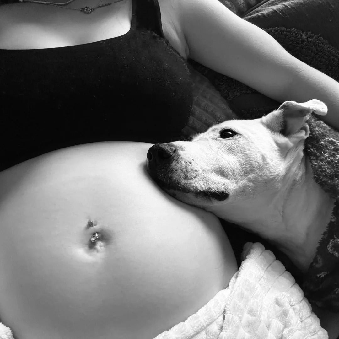 <em>Waleria M. </em>